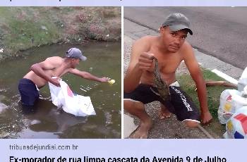 Galeria de Imagem